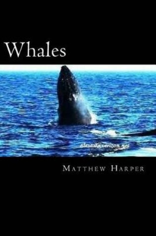 Cover of Whales