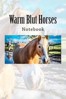 Book cover for Warm Blut Horses