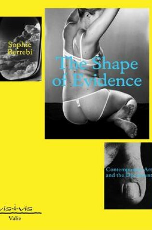 Cover of Shape of Evidence