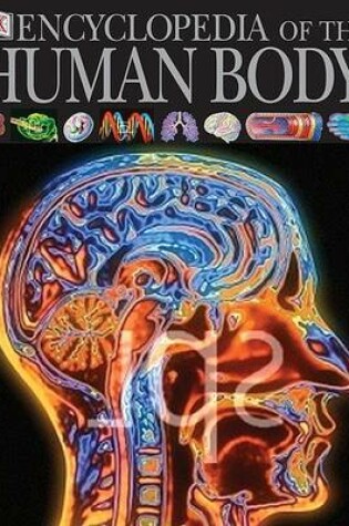 Cover of DK Encyclopedia of the Human Body