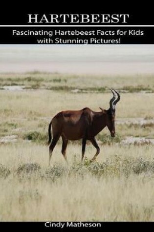 Cover of Hartebeest