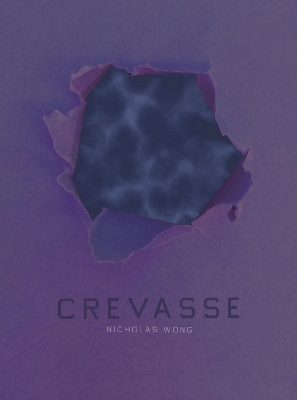 Book cover for Crevasse