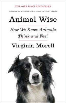 Book cover for Animal Wise