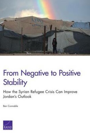Cover of From Negative to Positive Stability