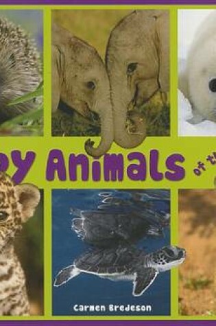 Cover of Baby Animals of the World