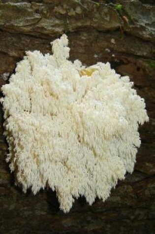 Cover of Coral Fungus Notebook