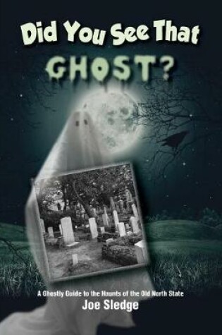 Cover of Did You See That Ghost?