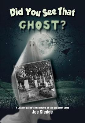 Book cover for Did You See That Ghost?