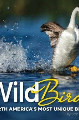 Cover of Wild Birds