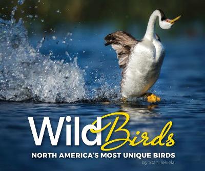 Book cover for Wild Birds