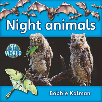 Book cover for Night Animals