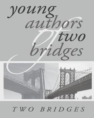 Book cover for Two Bridges