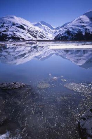 Cover of Portage Lake Alaska in Early Summer Journal