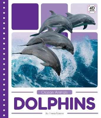 Book cover for Ocean Animals: Dolphins