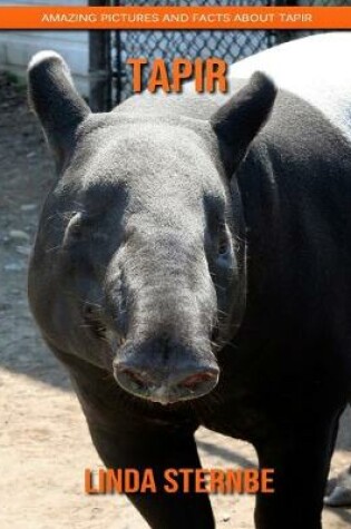 Cover of Tapir