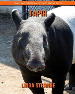 Book cover for Tapir