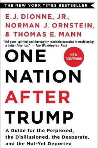 Cover of One Nation After Trump