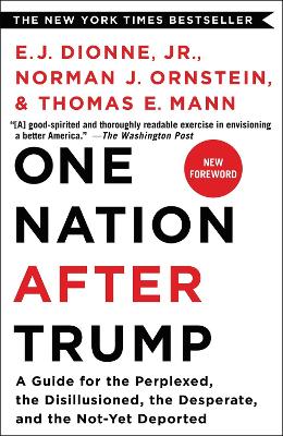 Book cover for One Nation After Trump