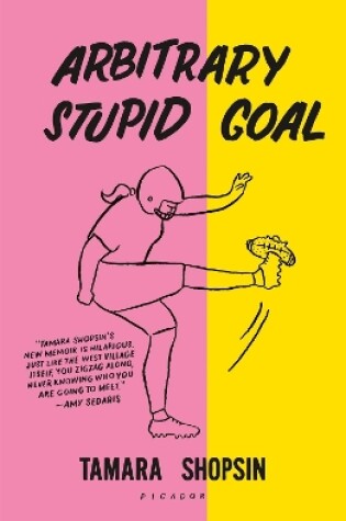 Cover of Arbitrary Stupid Goal