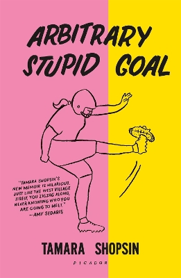 Book cover for Arbitrary Stupid Goal