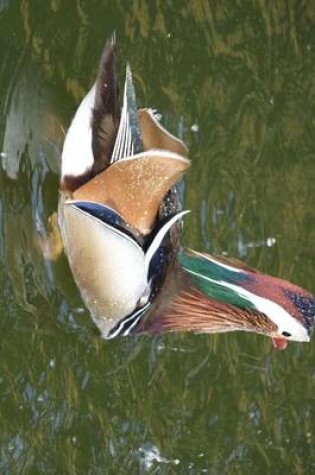 Cover of A Mandarin Dock on the Pond