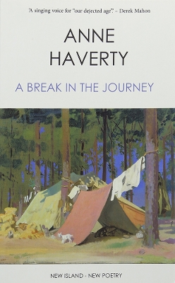 Book cover for A Break in the Journey