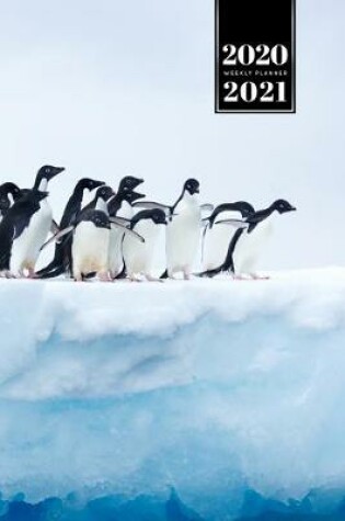 Cover of Penguin Puffin Antarctica Seabird Week Planner Weekly Organizer Calendar 2020 / 2021 - Do not Fall