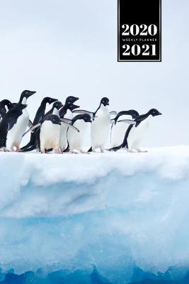 Book cover for Penguin Puffin Antarctica Seabird Week Planner Weekly Organizer Calendar 2020 / 2021 - Do not Fall