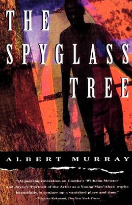 Book cover for The Spyglass Tree