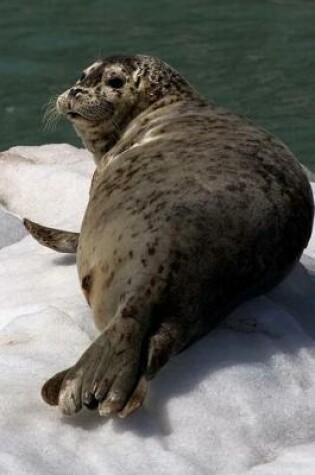 Cover of Alaska Journal - Harbor Seal