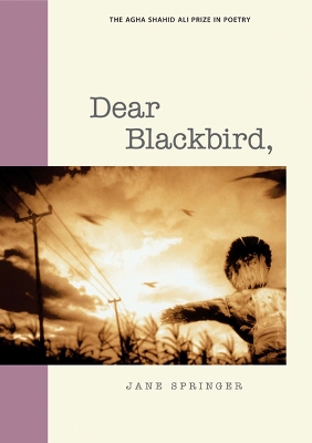 Book cover for Dear Blackbird,