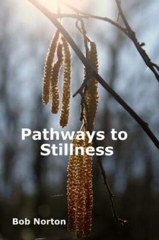Cover of Pathways to Stillness