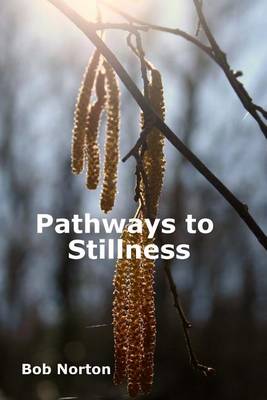 Book cover for Pathways to Stillness