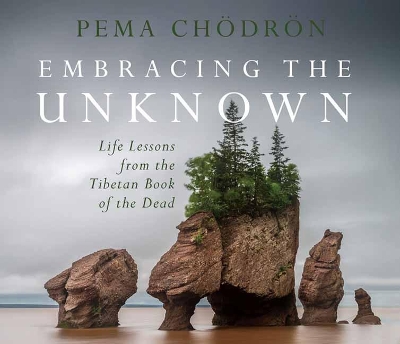 Book cover for Embracing the Unknown