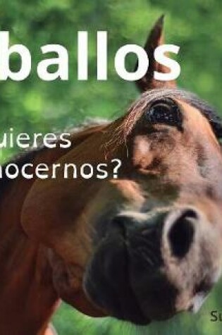 Cover of Caballos