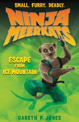 Cover of Escape from Ice Mountain