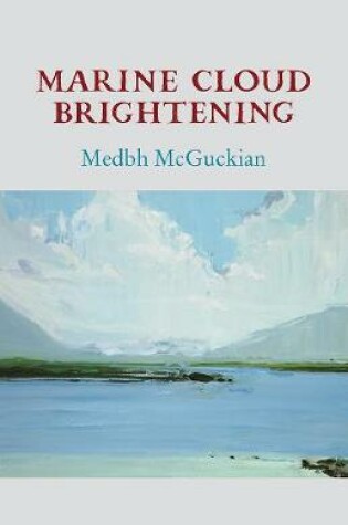 Cover of Marine Cloud Brightening