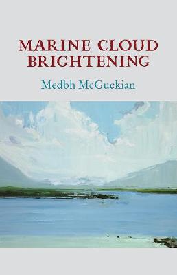 Book cover for Marine Cloud Brightening