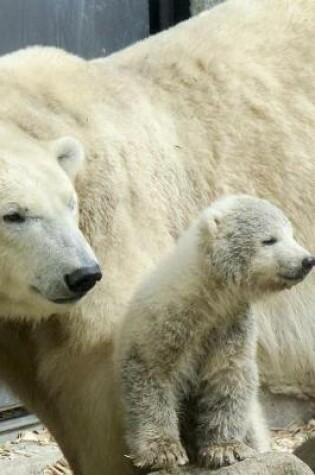 Cover of Sweet Mom and Baby Polar Bear Portrait Animals Journal