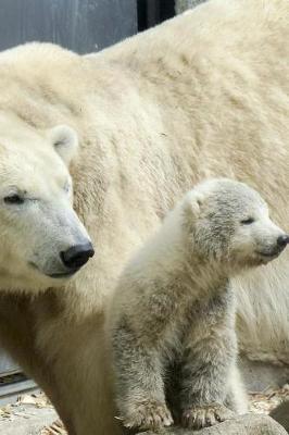 Book cover for Sweet Mom and Baby Polar Bear Portrait Animals Journal