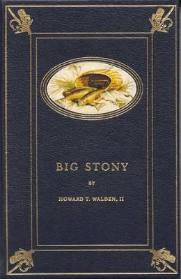 Cover of Big Stony