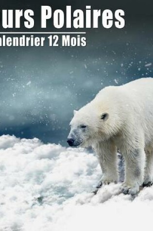 Cover of Calendrier 2021 Ours Polaires