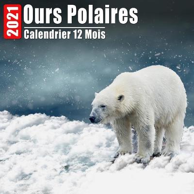 Book cover for Calendrier 2021 Ours Polaires