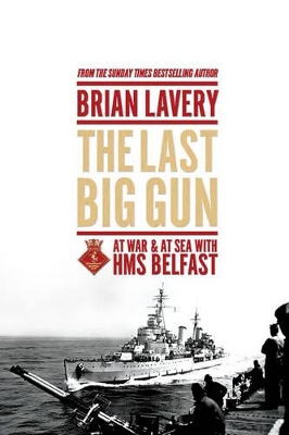 Book cover for The Last Big Gun