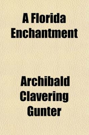 Cover of A Florida Enchantment; A Novel