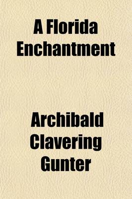 Book cover for A Florida Enchantment; A Novel