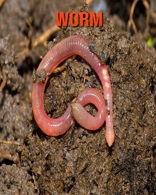 Book cover for Worm