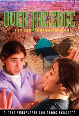 Book cover for Mysteries in Our National Parks: Over the Edge
