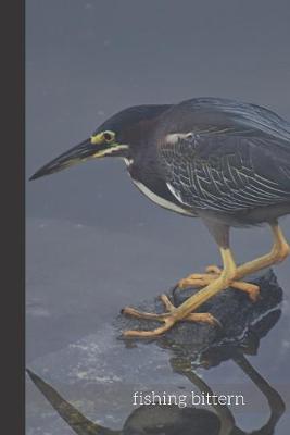 Book cover for fishing bittern