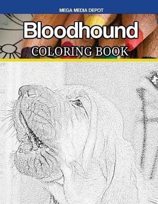 Book cover for Bloodhound Coloring Book